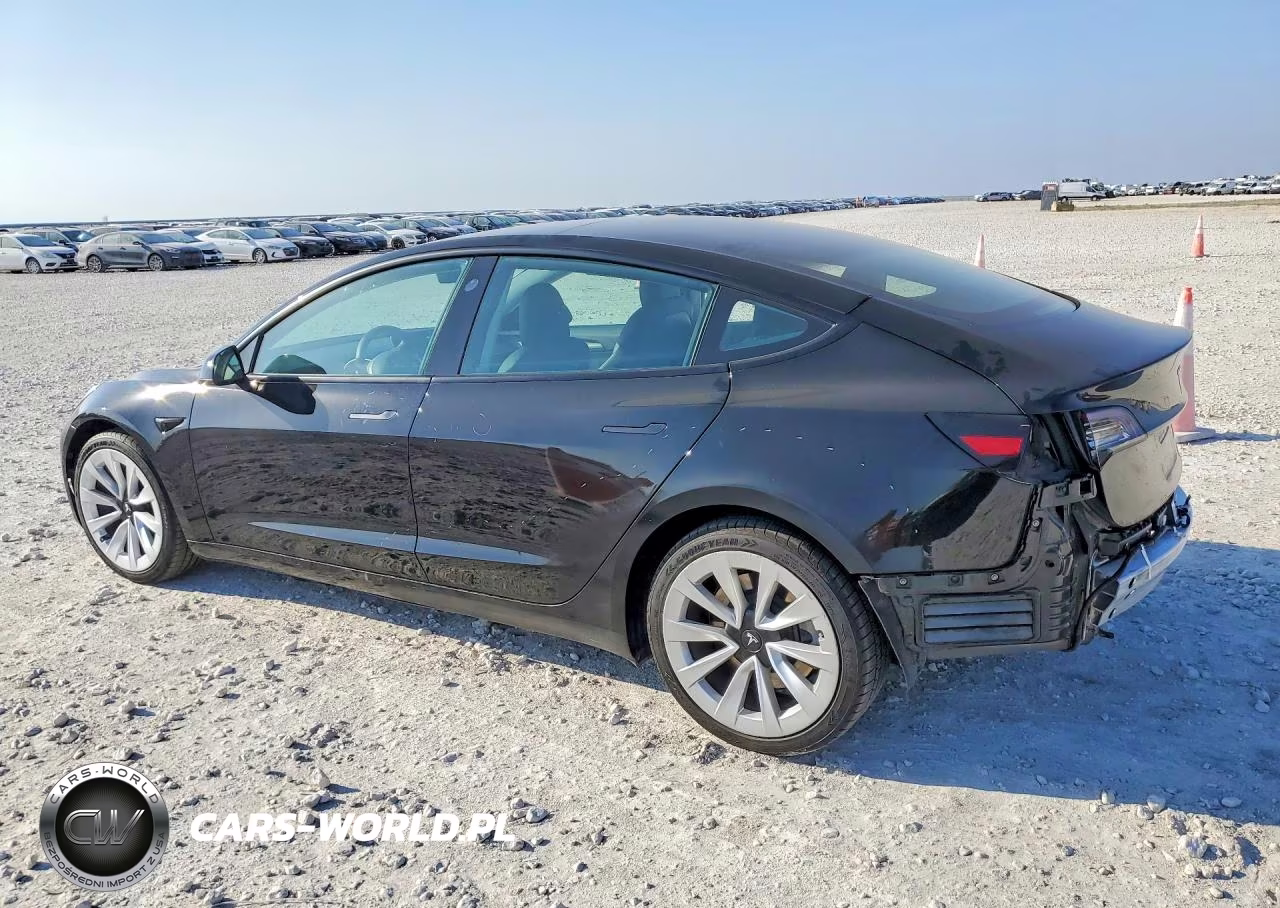 2021 Tesla Model 3 VIN:5YJ3E1EA6MF987880 - 2