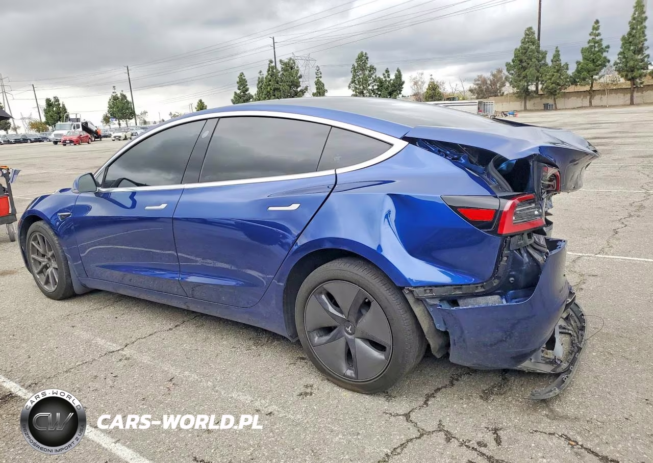 2020 Tesla Model 3 VIN:5YJ3E1EB2LF617484 - 2