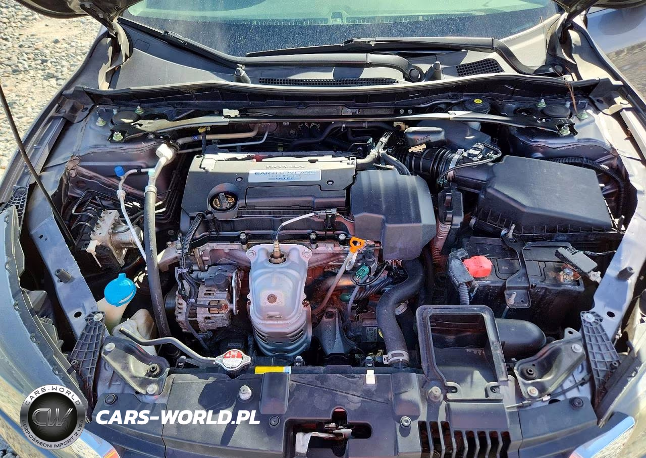 2013 Honda Accord Exl VIN:1HGCR2F89DA112504 - 11