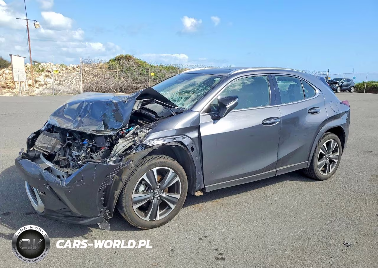 2025 Lexus Ux 300H Base
