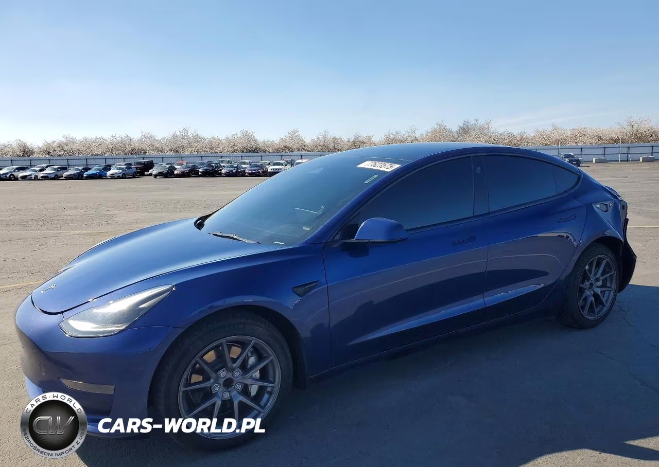 2023 Tesla Model 3