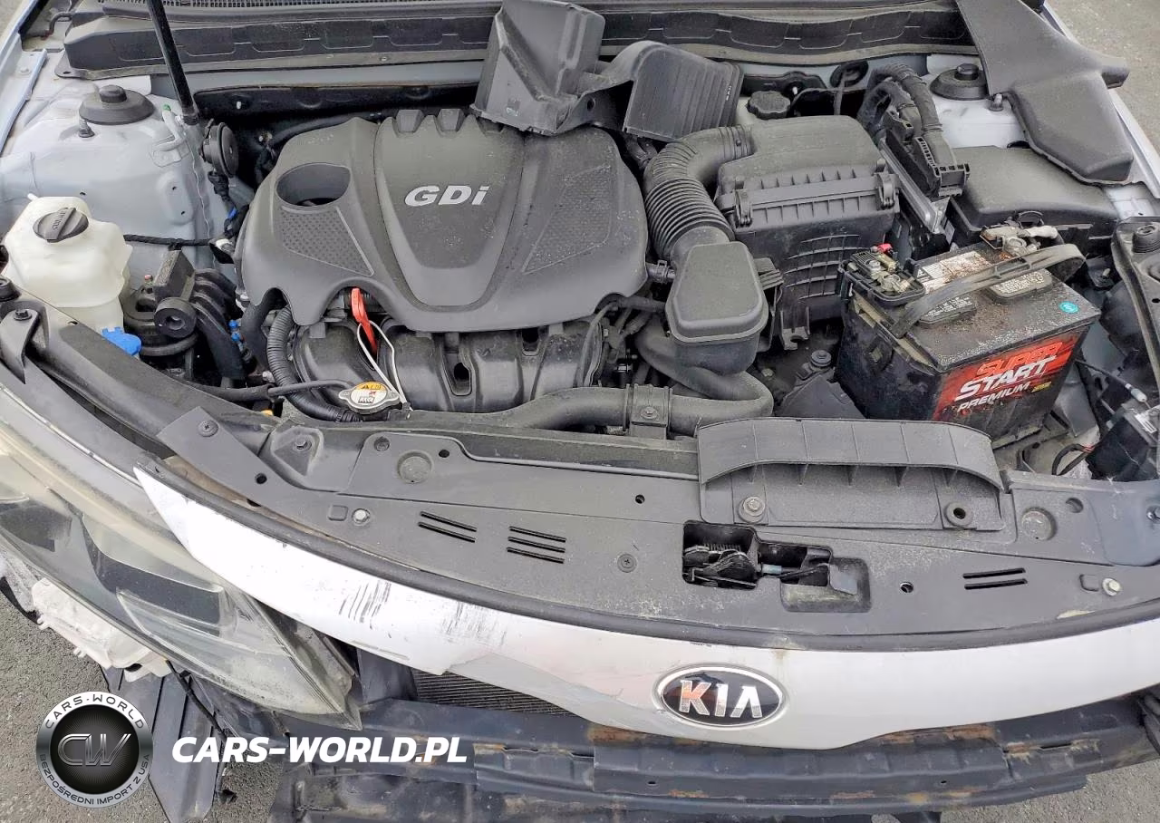 2013 Kia Optima VIN:KNAGM4A71D5432799 - 11