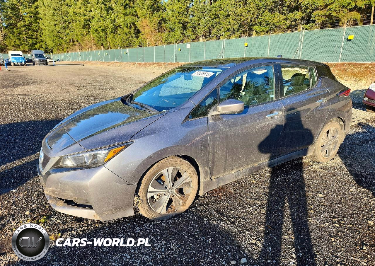 2020 Nissan Leaf Sv