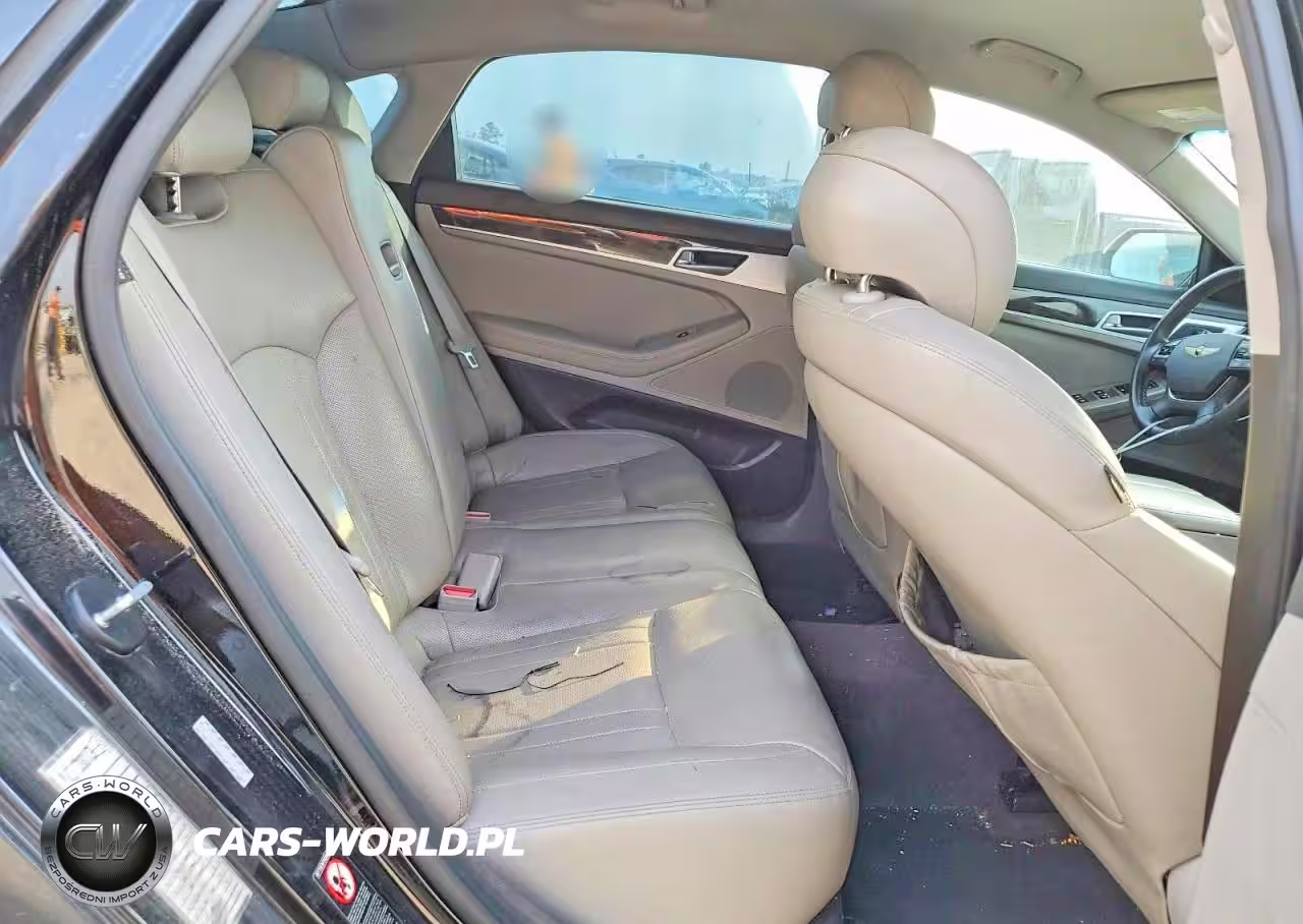 2016 Hyundai Genesis 3.8L VIN:KMHGN4JE2GU120558 - 10