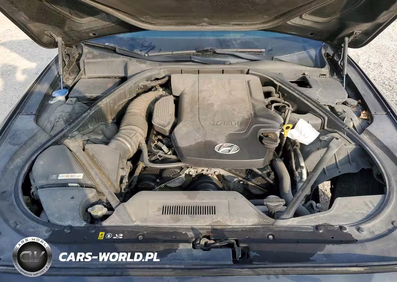 2016 Hyundai Genesis 3.8L VIN:KMHGN4JE2GU120558 - 11