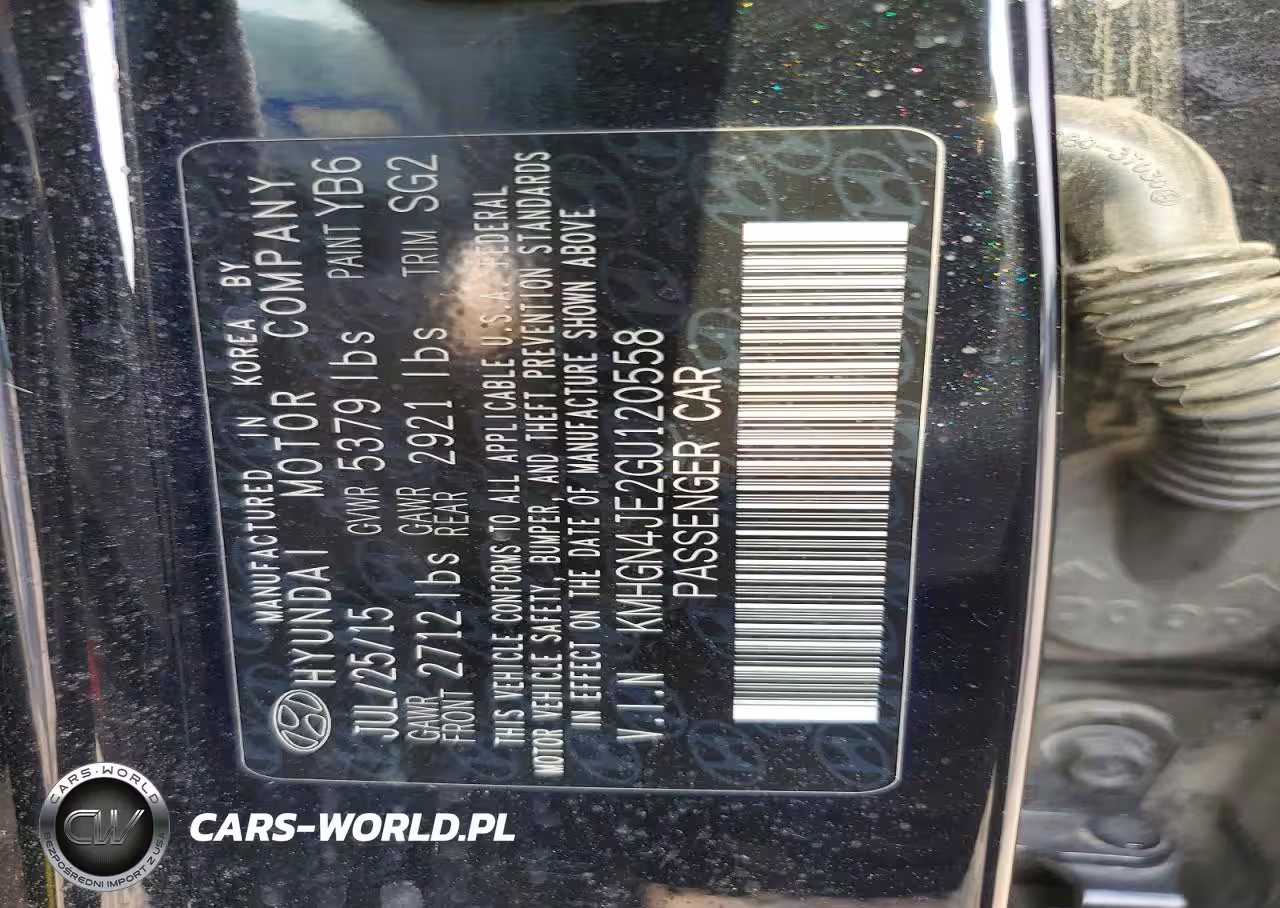 2016 Hyundai Genesis 3.8L VIN:KMHGN4JE2GU120558 - 12