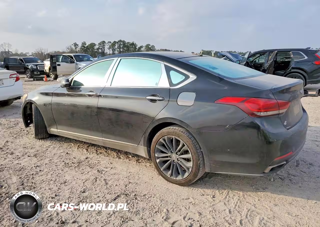 2016 Hyundai Genesis 3.8L VIN:KMHGN4JE2GU120558 - 2