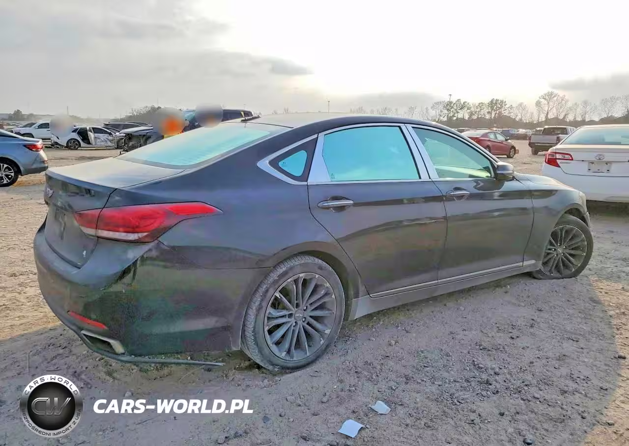 2016 Hyundai Genesis 3.8L VIN:KMHGN4JE2GU120558 - 3
