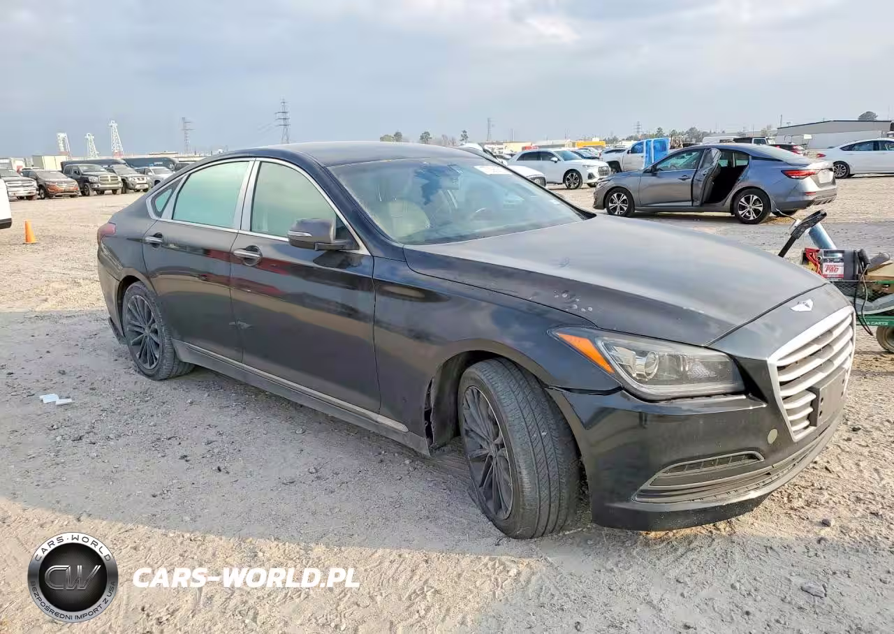 2016 Hyundai Genesis 3.8L VIN:KMHGN4JE2GU120558 - 4
