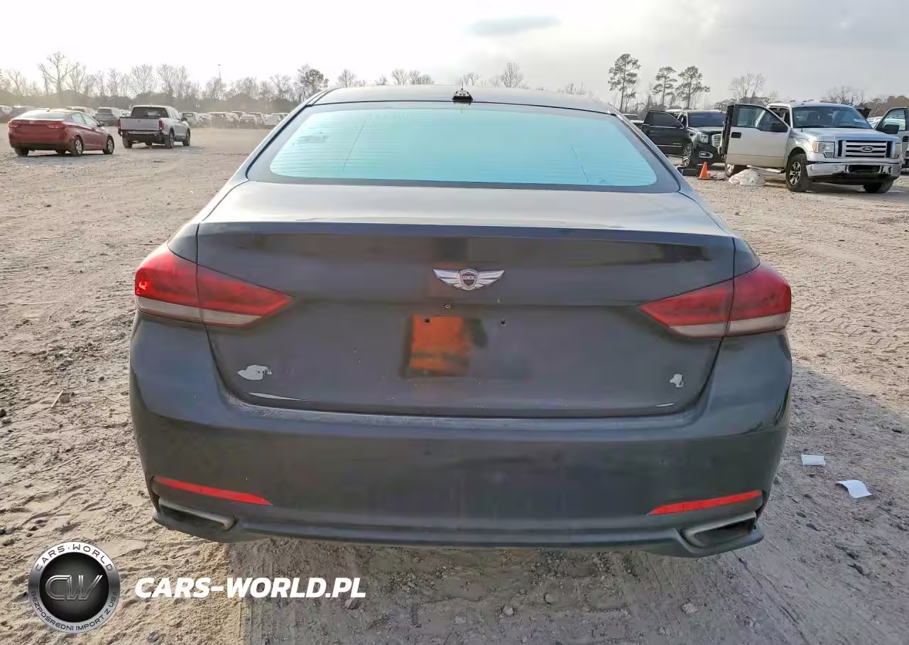 2016 Hyundai Genesis 3.8L VIN:KMHGN4JE2GU120558 - 6