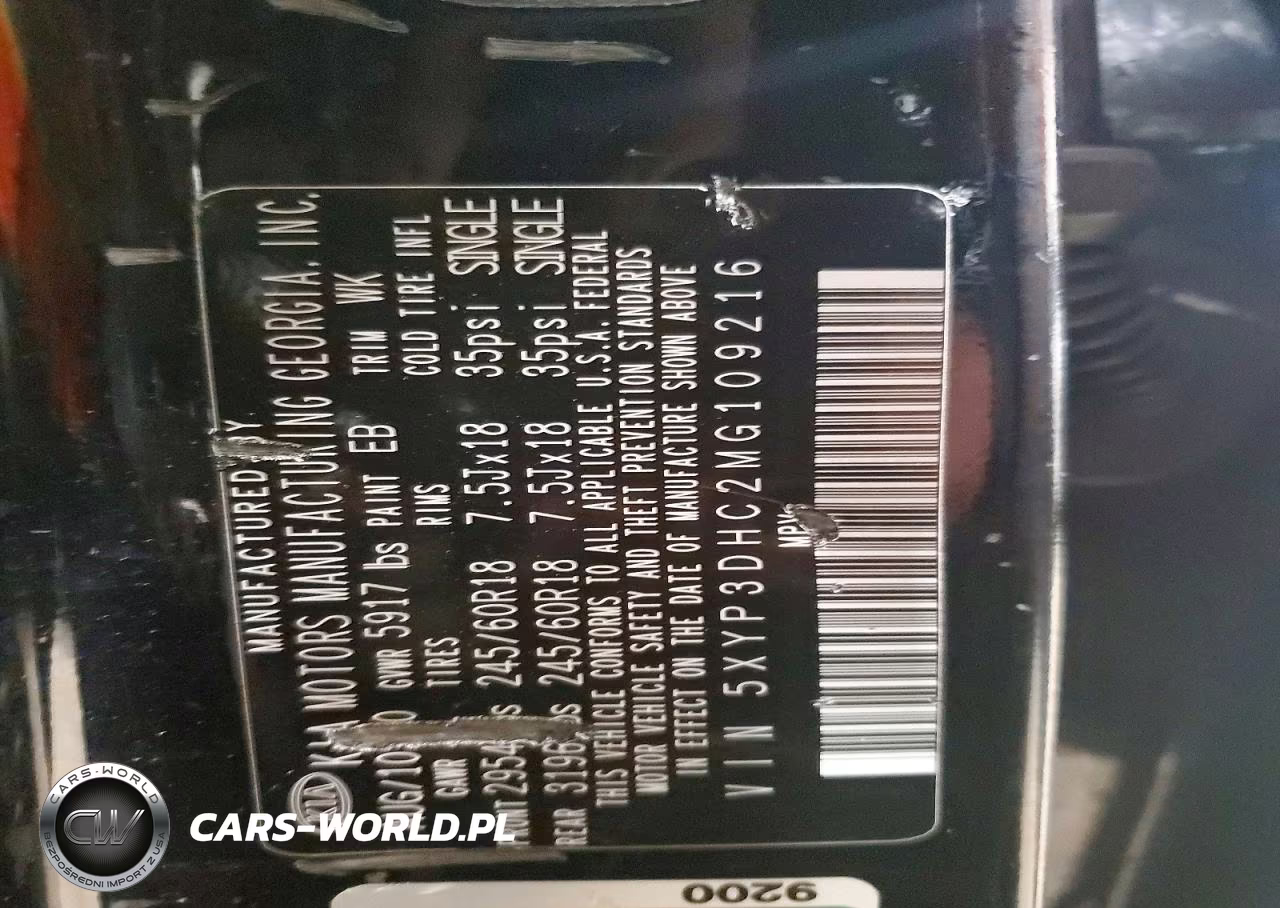 2021 Kia Telluride Ex VIN:5XYP3DHC2MG109216 - 13