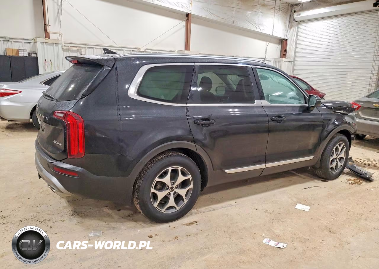2021 Kia Telluride Ex VIN:5XYP3DHC2MG109216 - 3