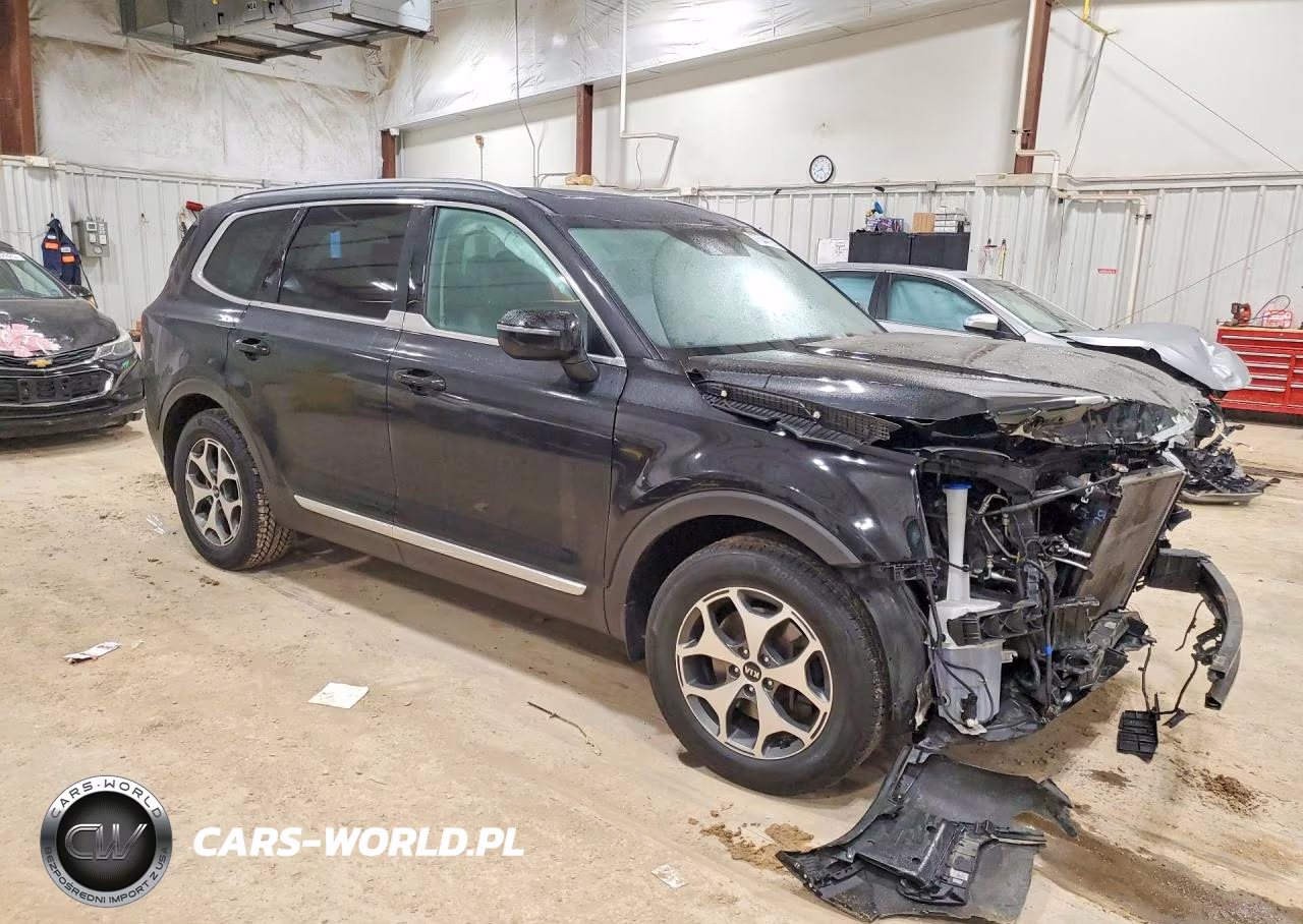 2021 Kia Telluride Ex VIN:5XYP3DHC2MG109216 - 4