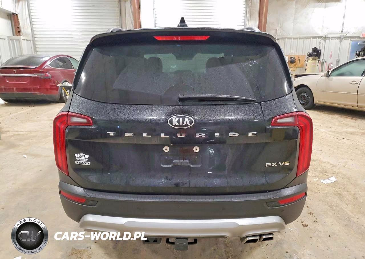 2021 Kia Telluride Ex VIN:5XYP3DHC2MG109216 - 6