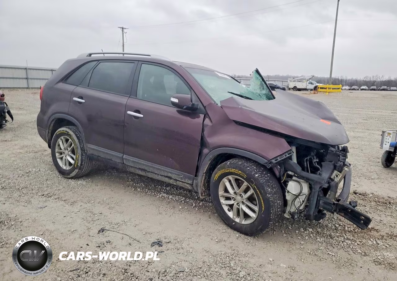 2014 Kia Sorento Lx VIN:5XYKT4A69EG452587 - 4