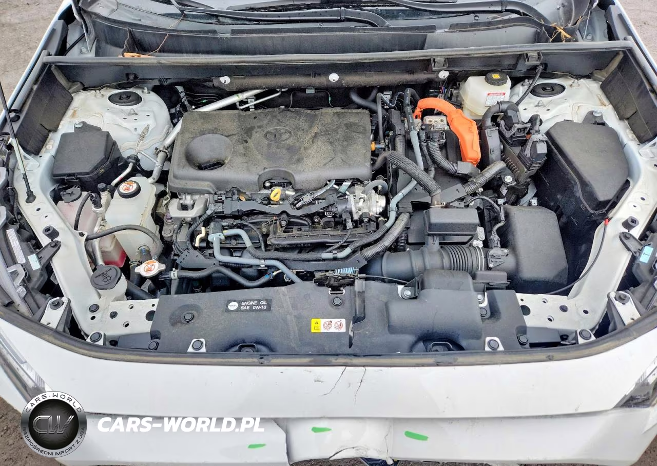 2024 Toyota Rav4 Le VIN:4T3LWRFV0RU110879 - 12