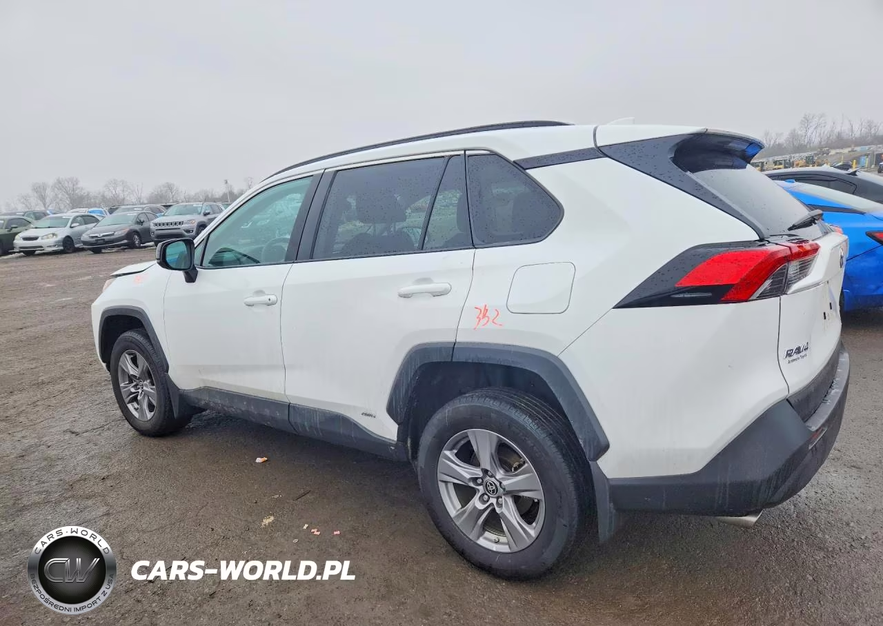 2024 Toyota Rav4 Le VIN:4T3LWRFV0RU110879 - 2