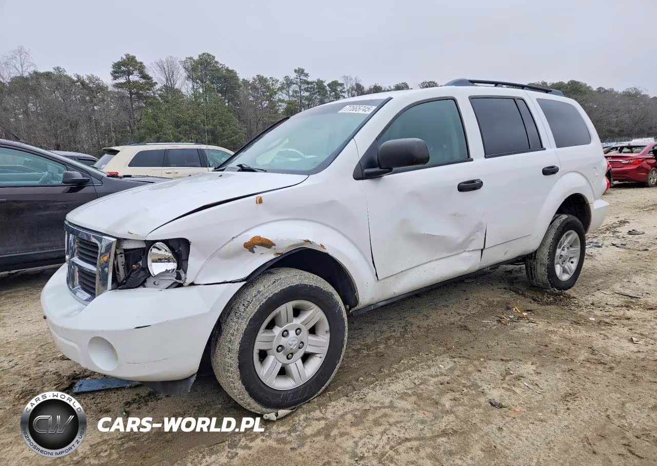 2009 Dodge Durango Se