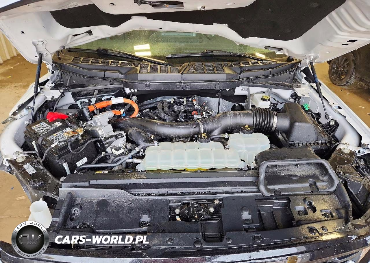2025 Ford F150 Xlt VIN:1FTFW3LD2SFA07525 - 11