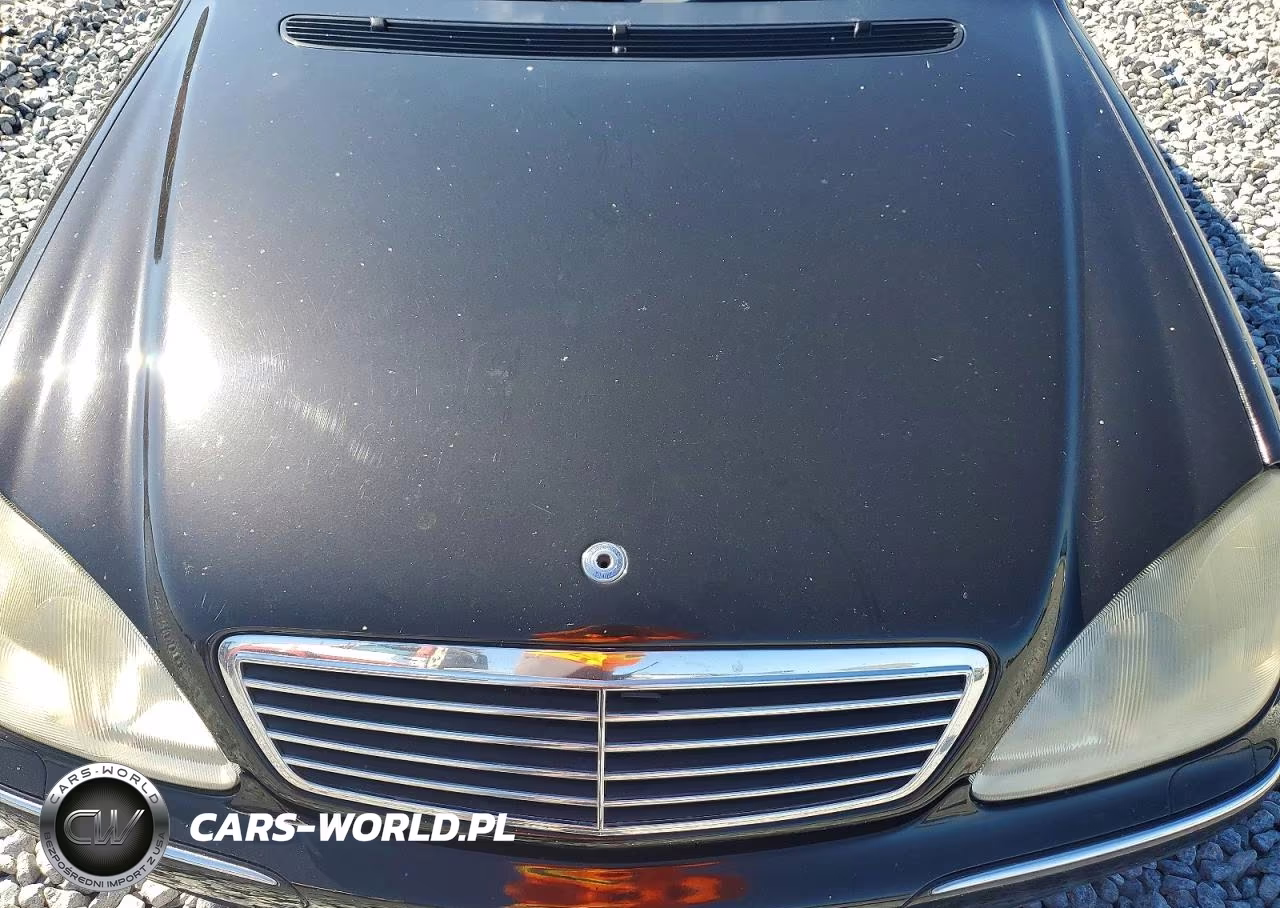 2000 Mercedes-Benz S 500 VIN:WDBNG75JXYA064451 - 11