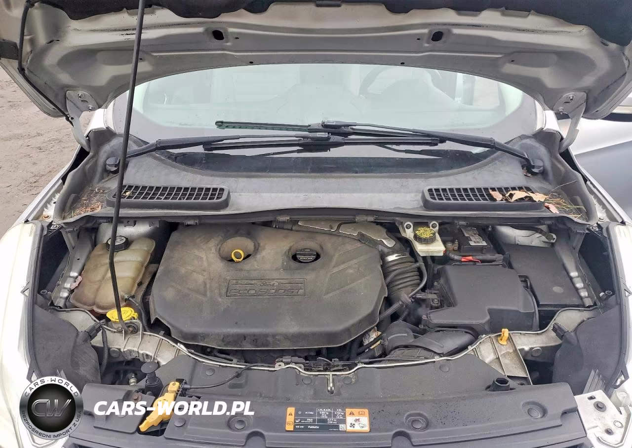 2013 Ford Escape Sel VIN:1FMCU0H96DUA41442 - 12