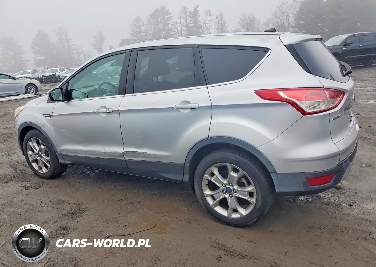 2013 Ford Escape Sel VIN:1FMCU0H96DUA41442 - 2