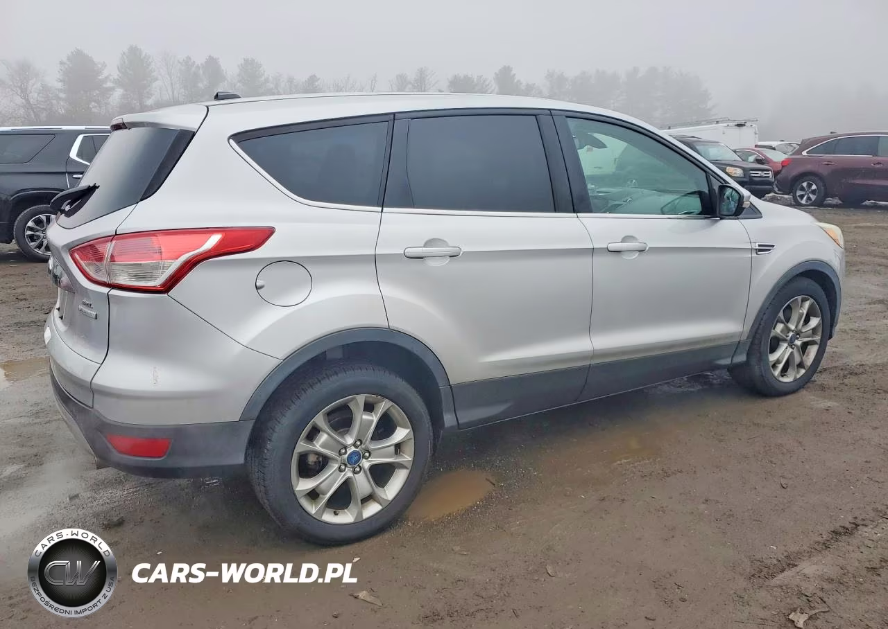 2013 Ford Escape Sel VIN:1FMCU0H96DUA41442 - 3