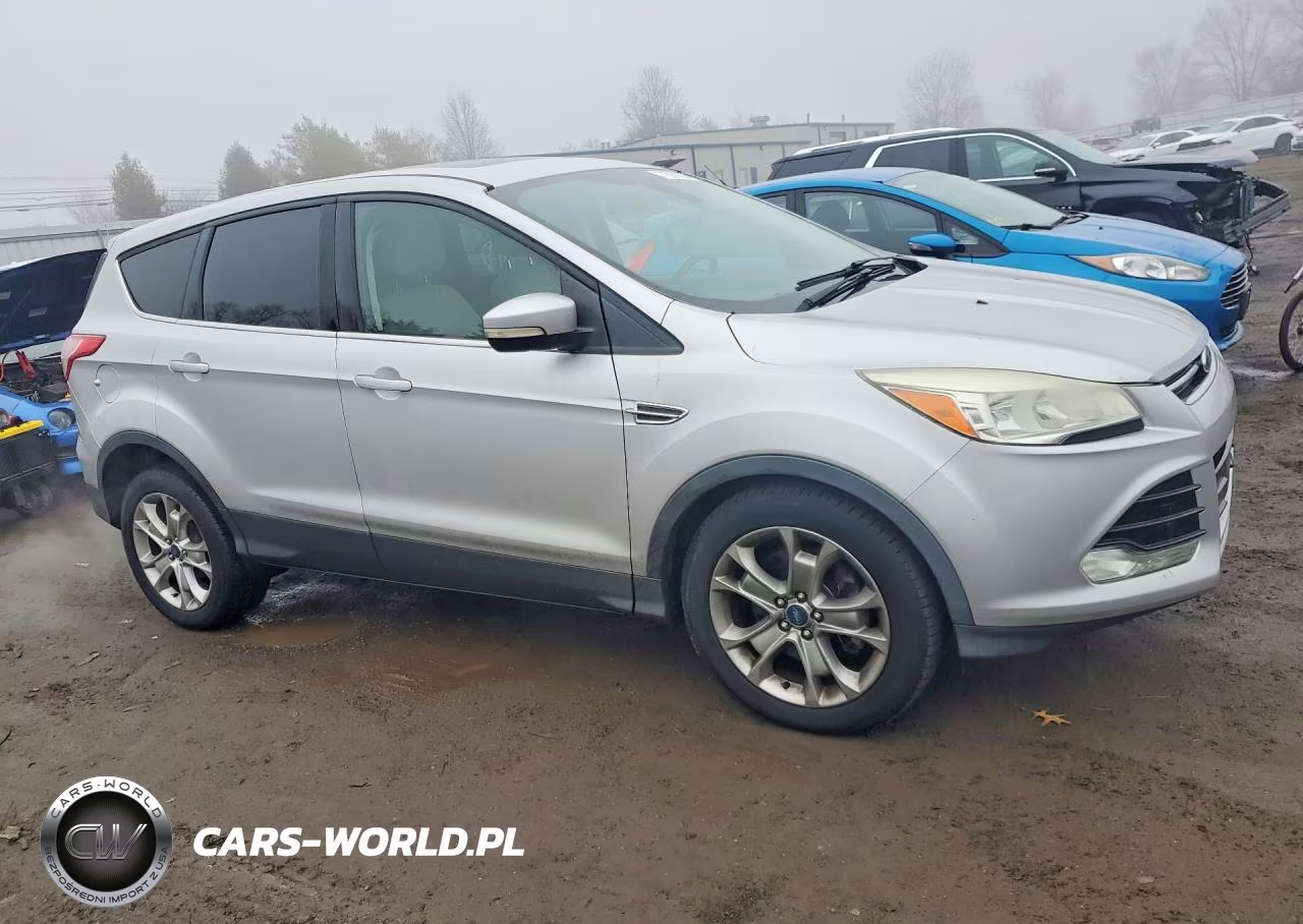 2013 Ford Escape Sel VIN:1FMCU0H96DUA41442 - 4