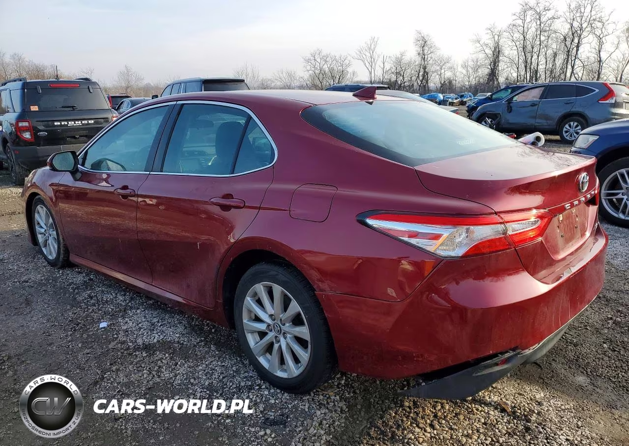 2020 Toyota Camry Le VIN:4T1C11AK7LU355062 - 2