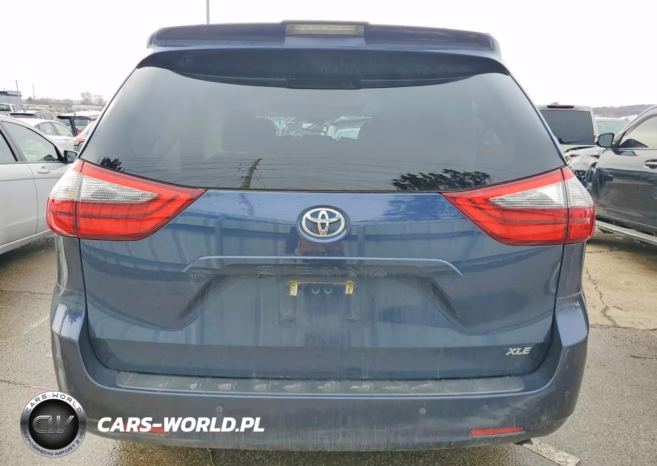 2020 Toyota Sienna Xle VIN:5TDYZ3DCXLS039016 - 6