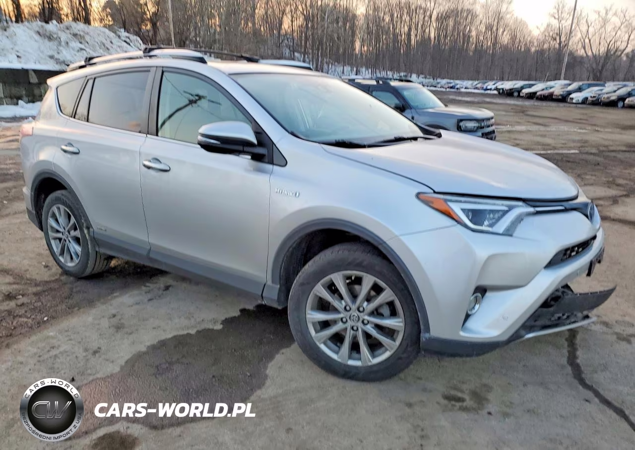 2016 Toyota Rav4 Hv Limited VIN:JTMDJREV5GD028001 - 4