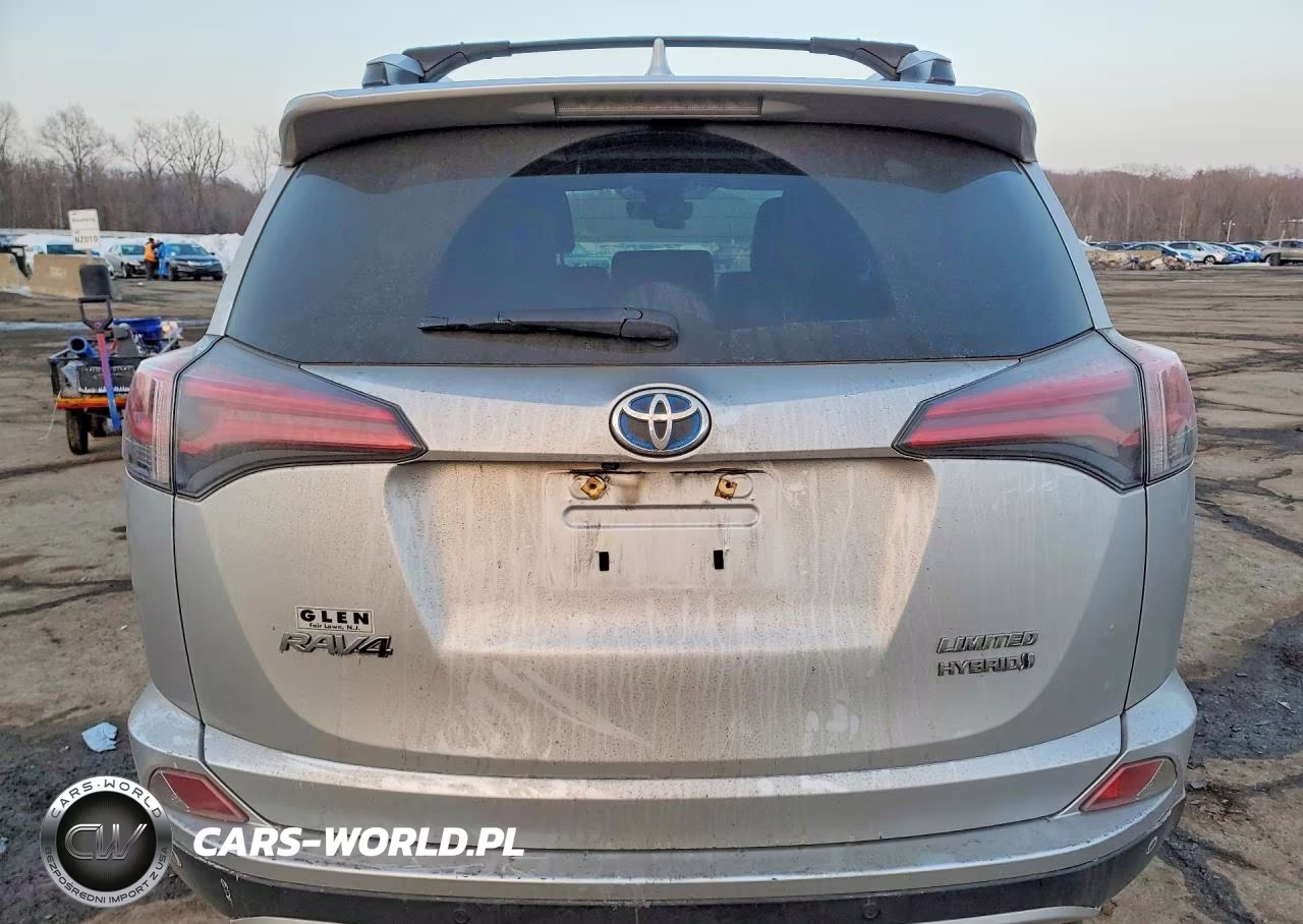 2016 Toyota Rav4 Hv Limited VIN:JTMDJREV5GD028001 - 6