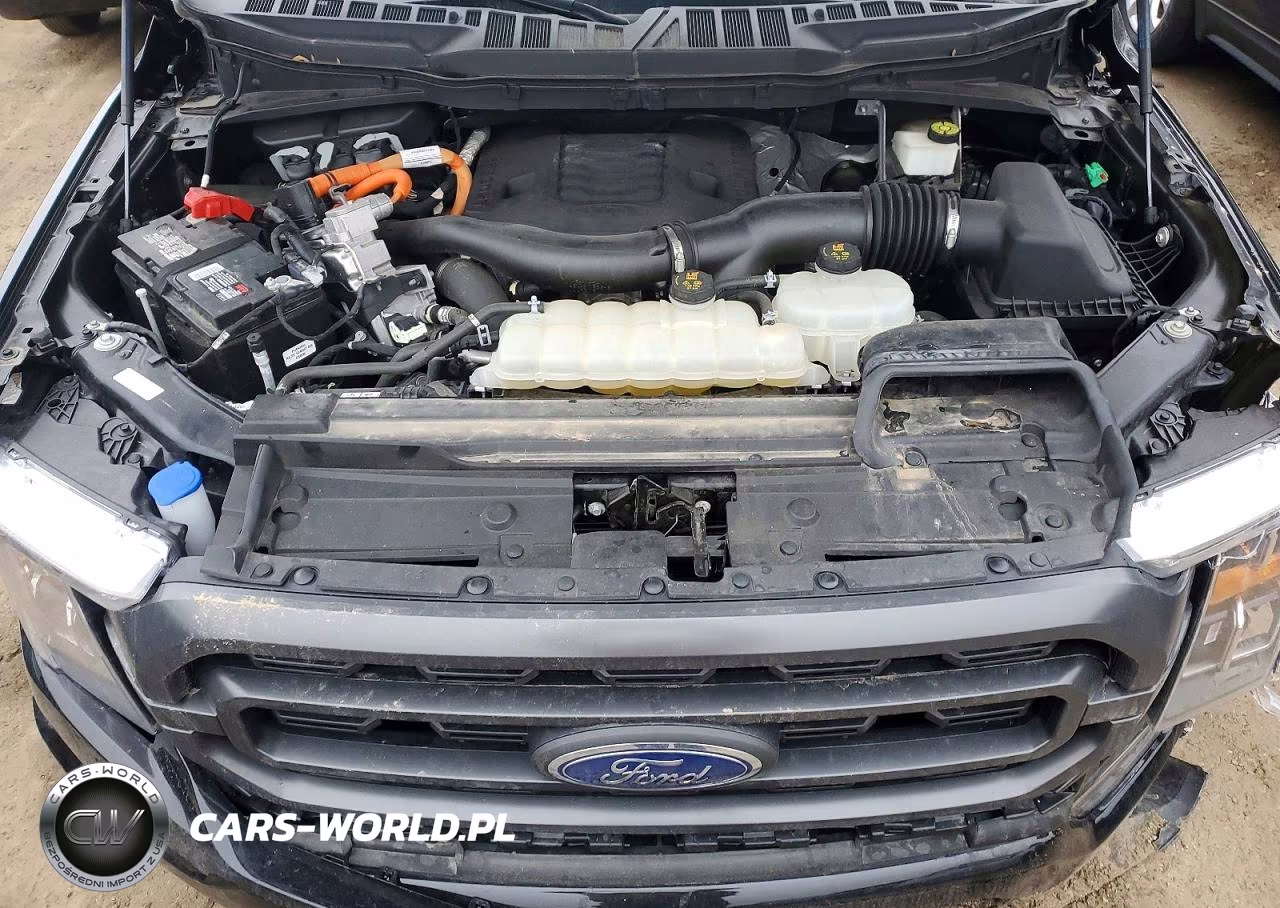 2023 Ford F150 Supercrew VIN:1FTFW1ED3PFA96160 - 11