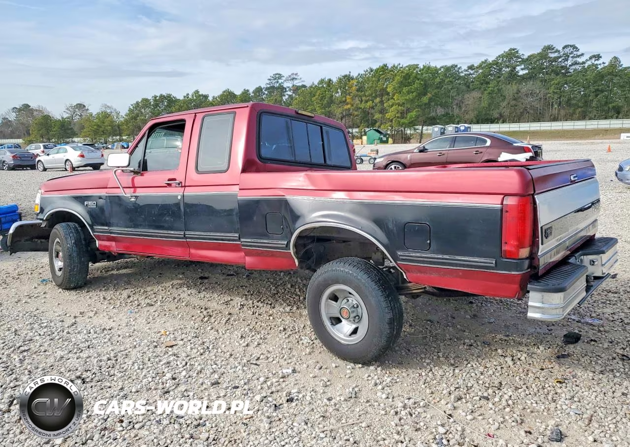 1994 Ford F150 VIN:1FTEX15N8RKB93124 - 2
