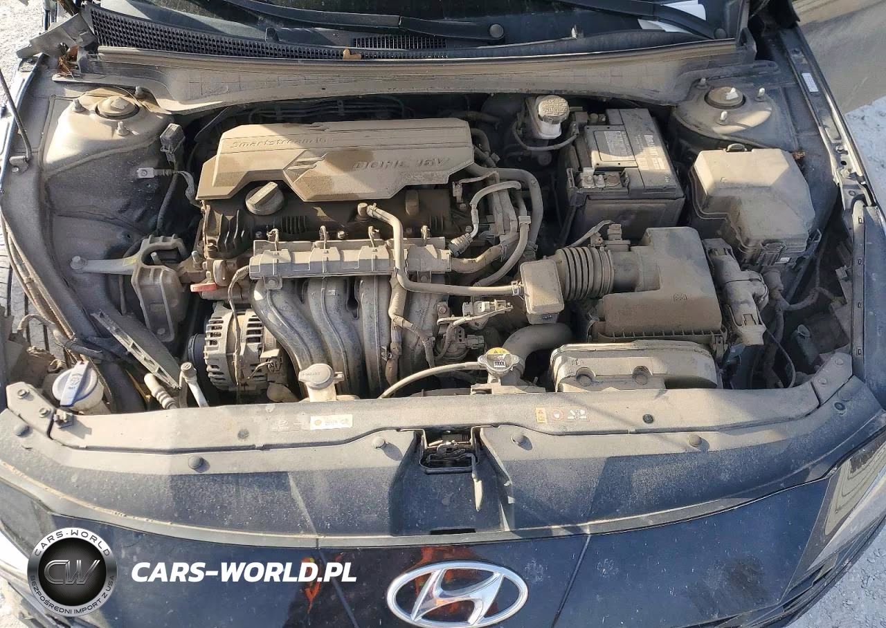 2021 Hyundai Elantra Limited VIN:KMHLP4AG3MU172125 - 11