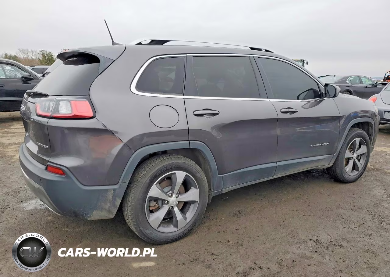 2019 Jeep Cherokee Limited VIN:1C4PJMDX0KD251235 - 3