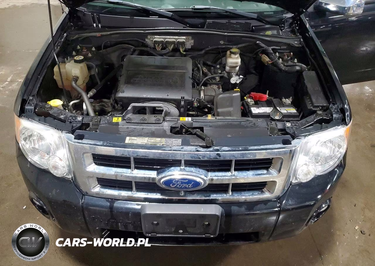 2012 Ford Escape Xlt VIN:1FMCU9DG8CKA56009 - 12
