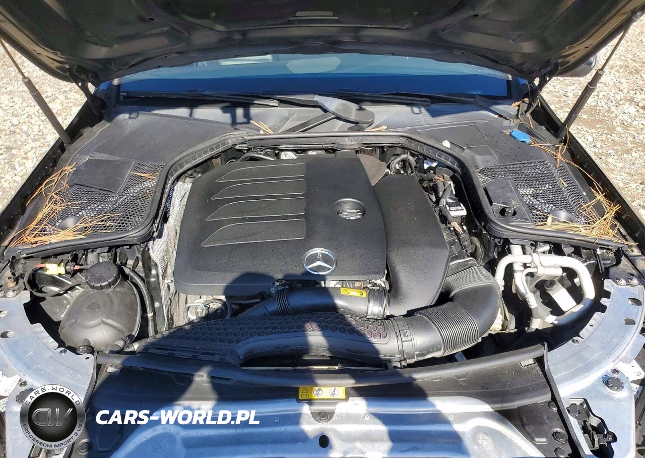 2019 Mercedes-Benz C 300 VIN:55SWF8DB0KU304483 - 11