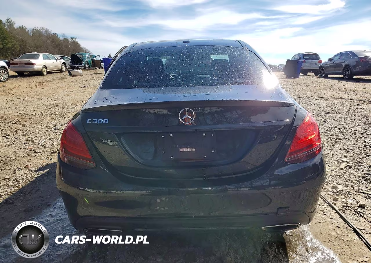 2019 Mercedes-Benz C 300 VIN:55SWF8DB0KU304483 - 6