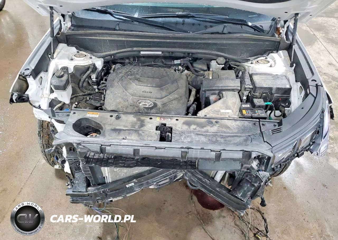 2024 Hyundai Palisade Limited VIN:KM8R5DGE9RU688258 - 12
