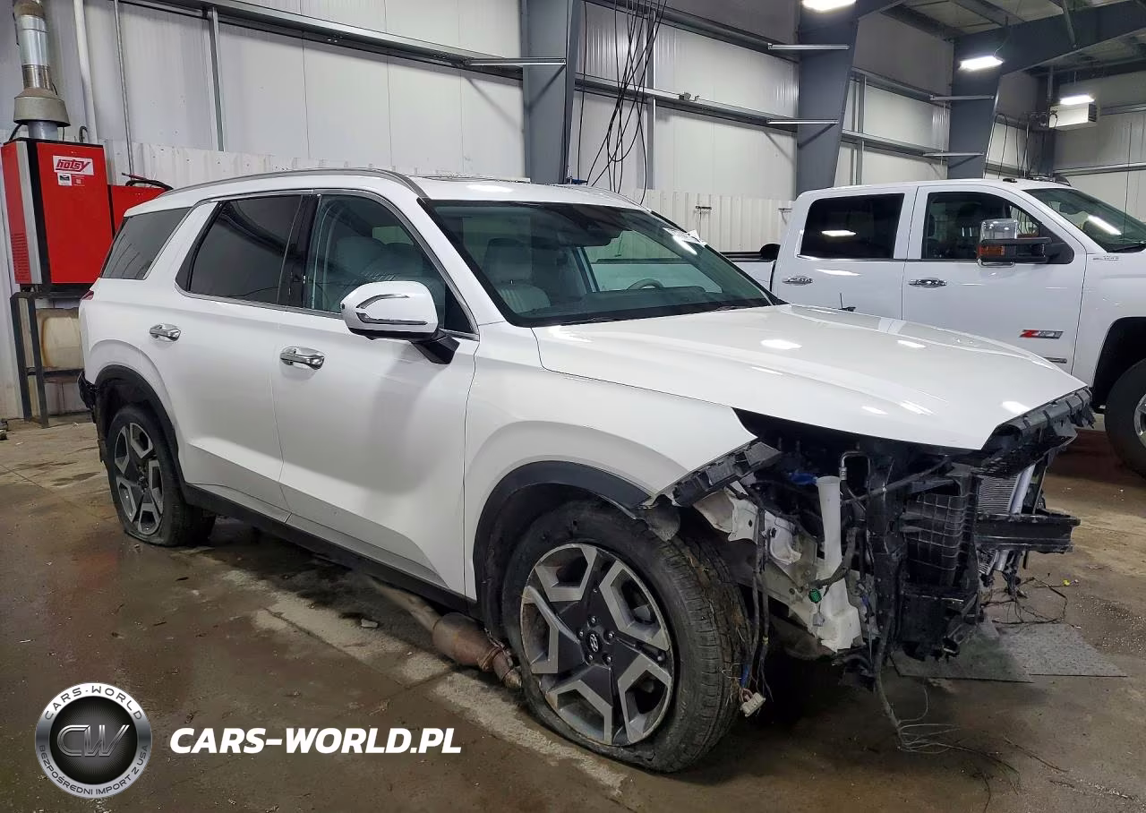 2024 Hyundai Palisade Limited VIN:KM8R5DGE9RU688258 - 4
