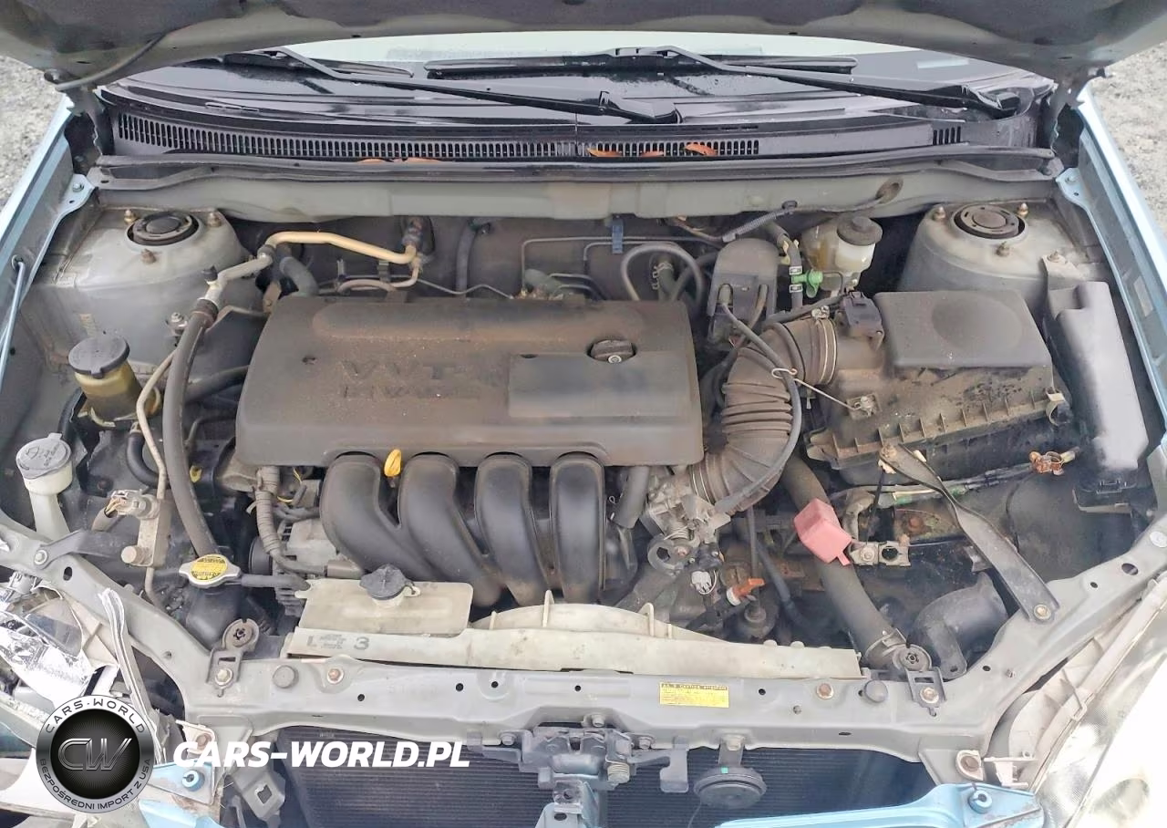 2003 Toyota Corolla Ce VIN:1NXBR32E73Z021185 - 11
