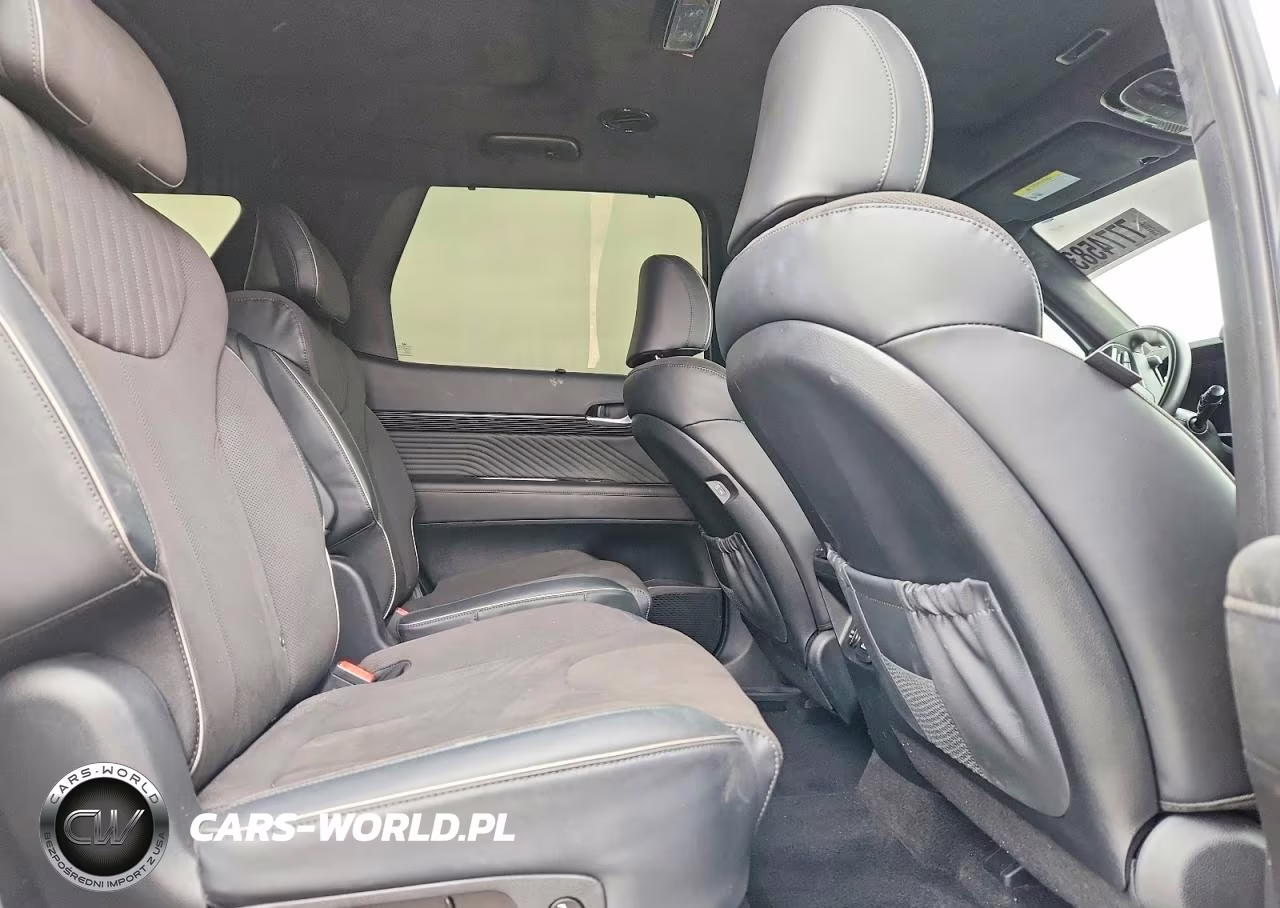 2025 Hyundai Palisade Calligraphy VIN:KM8R7DGE6SU887767 - 10