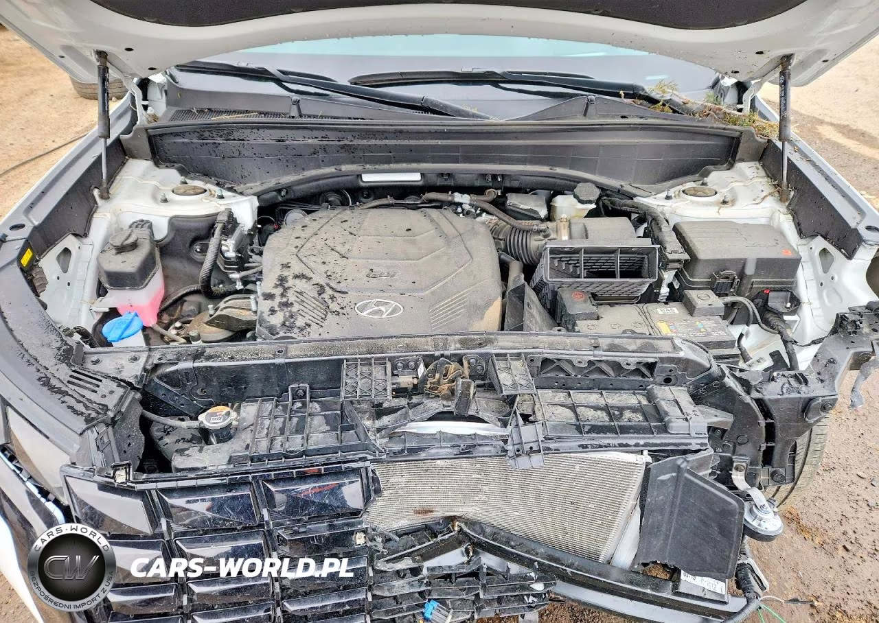 2025 Hyundai Palisade Calligraphy VIN:KM8R7DGE6SU887767 - 11