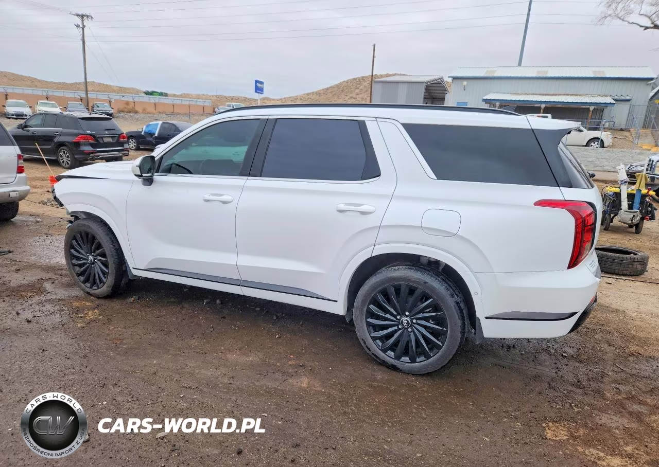2025 Hyundai Palisade Calligraphy VIN:KM8R7DGE6SU887767 - 2