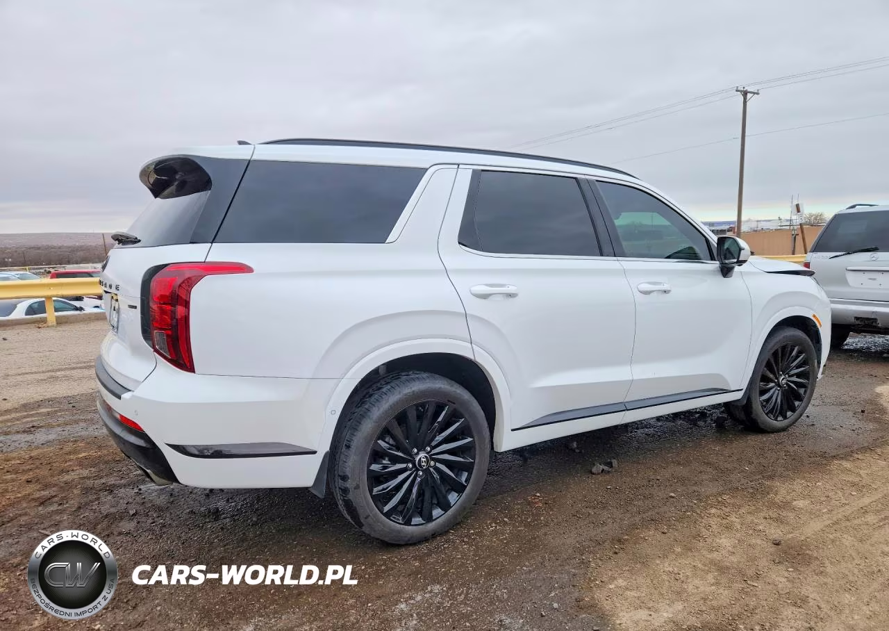 2025 Hyundai Palisade Calligraphy VIN:KM8R7DGE6SU887767 - 3