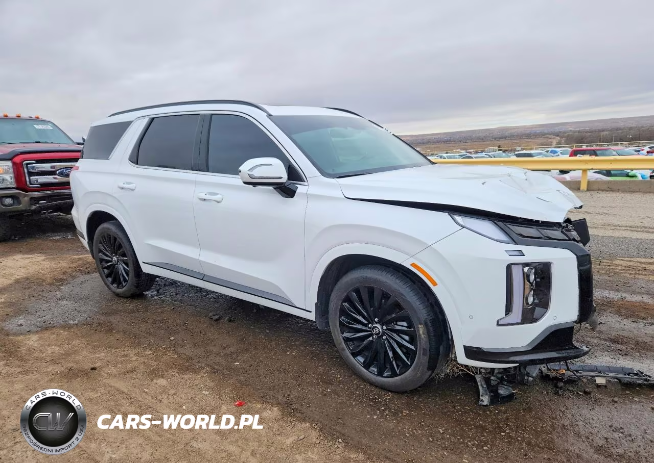 2025 Hyundai Palisade Calligraphy VIN:KM8R7DGE6SU887767 - 4