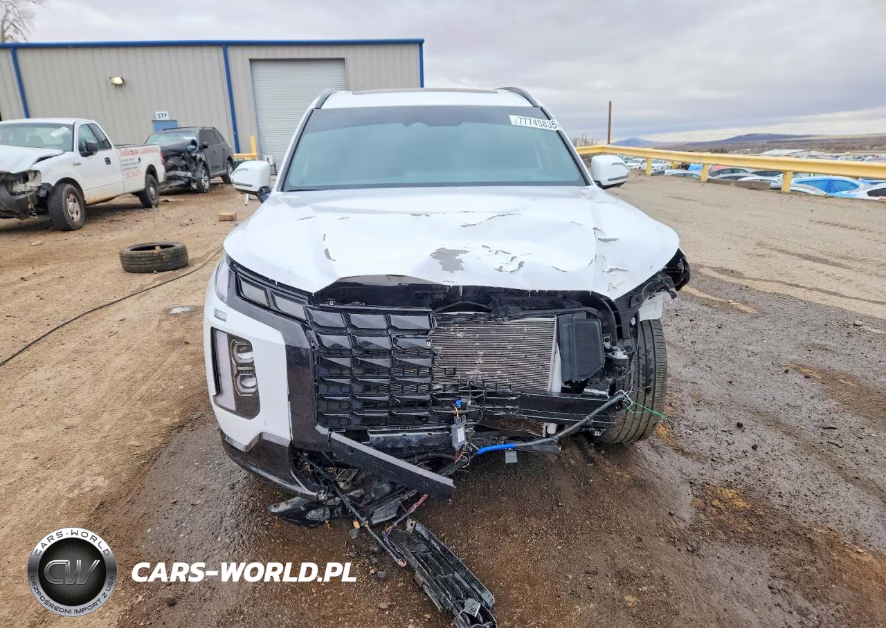 2025 Hyundai Palisade Calligraphy VIN:KM8R7DGE6SU887767 - 5