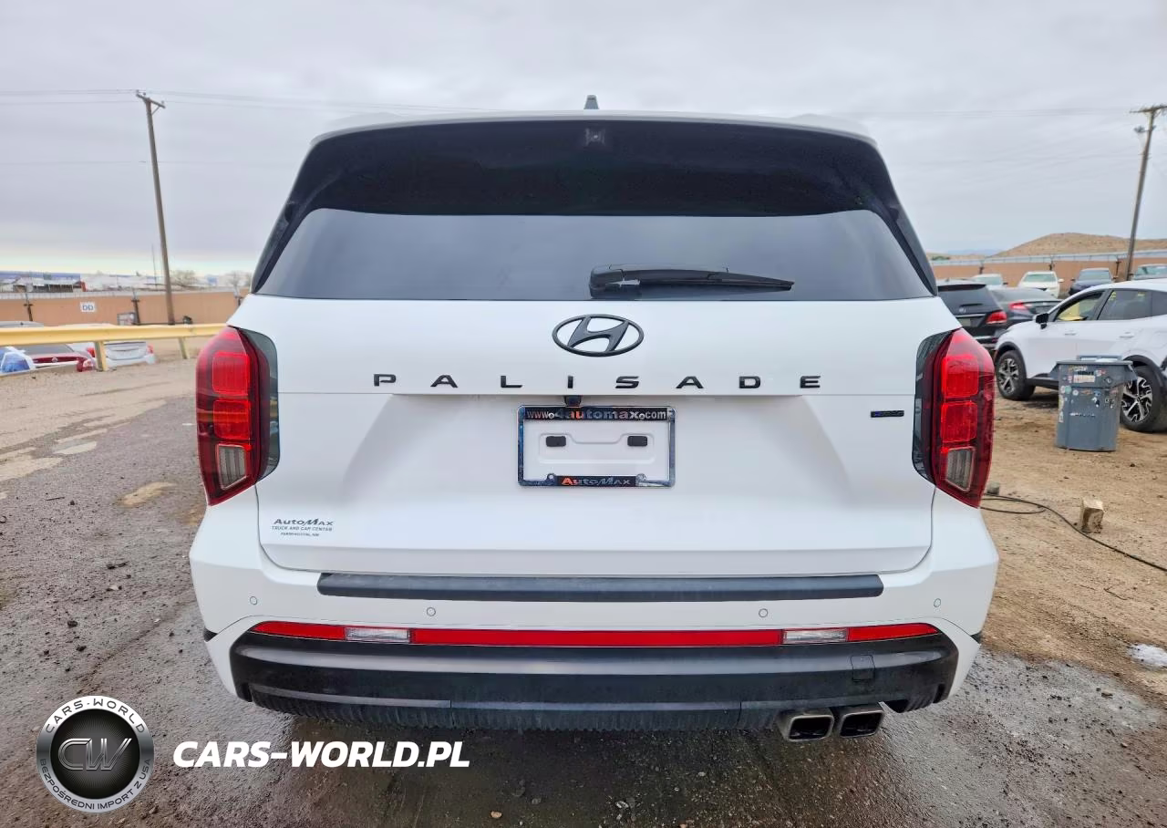 2025 Hyundai Palisade Calligraphy VIN:KM8R7DGE6SU887767 - 6