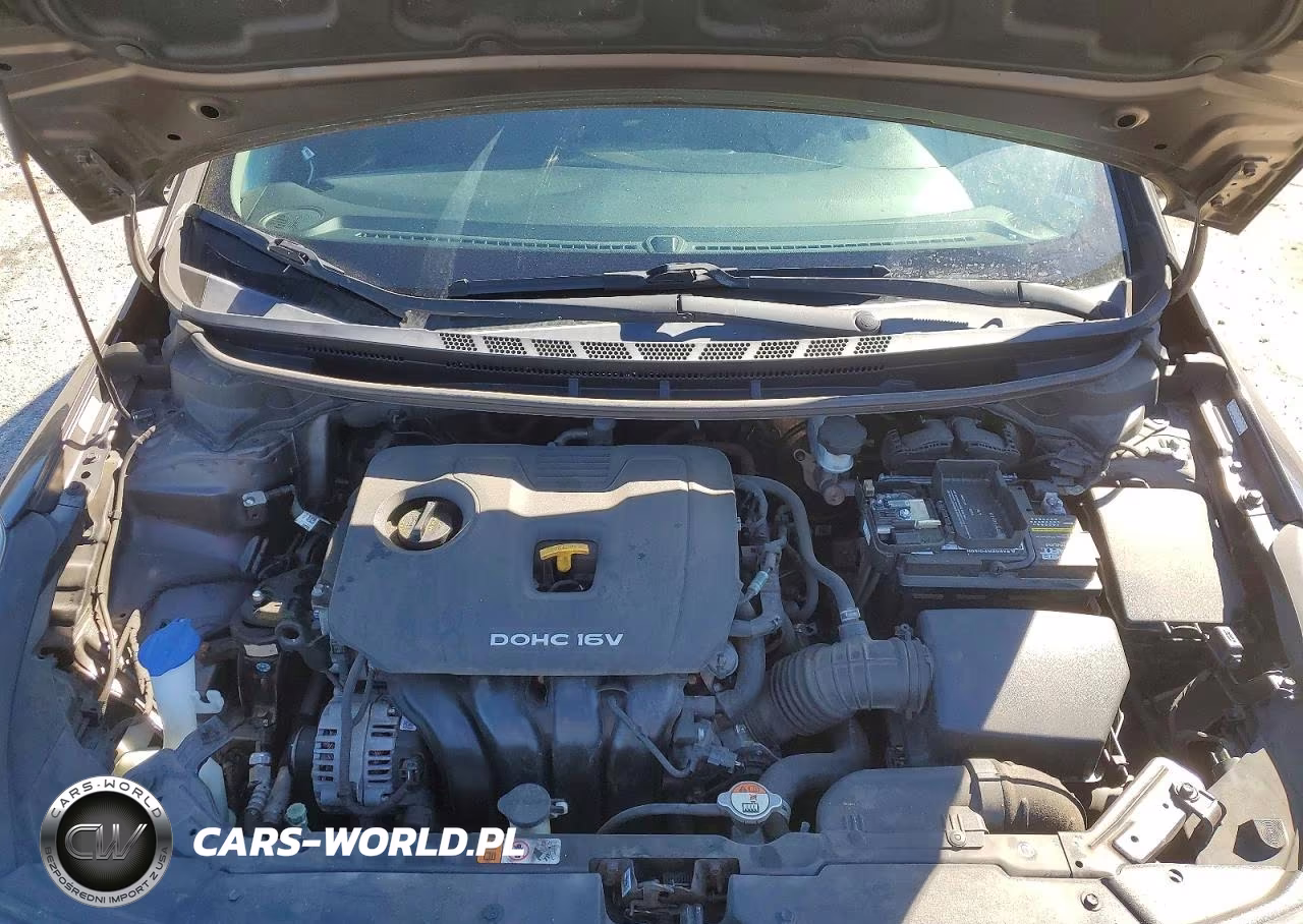 2017 Kia Forte Lx VIN:3KPFL4A7XHE031845 - 11